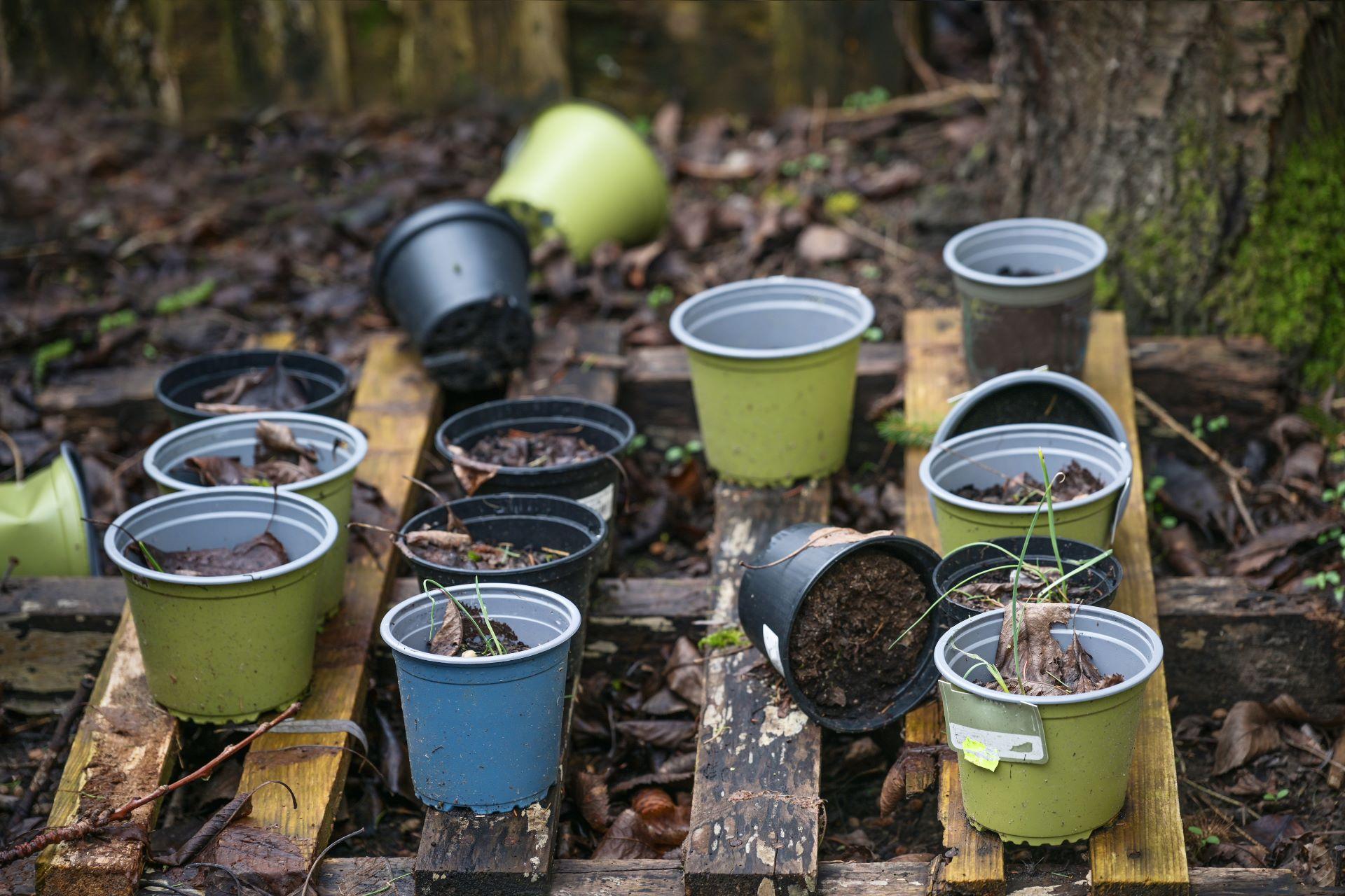 Leere Pflanztöpfe im herbstlichen Garten